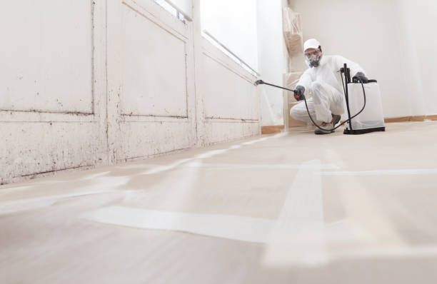 24/7 Emergency Commercial Mold Remediation experts in Clearfield, PA