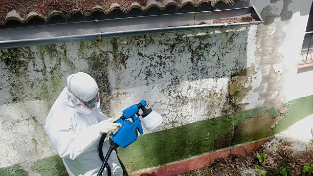 Trusted Commercial Mold Remediation service in Clearfield, PA - Cheap Mold Removal